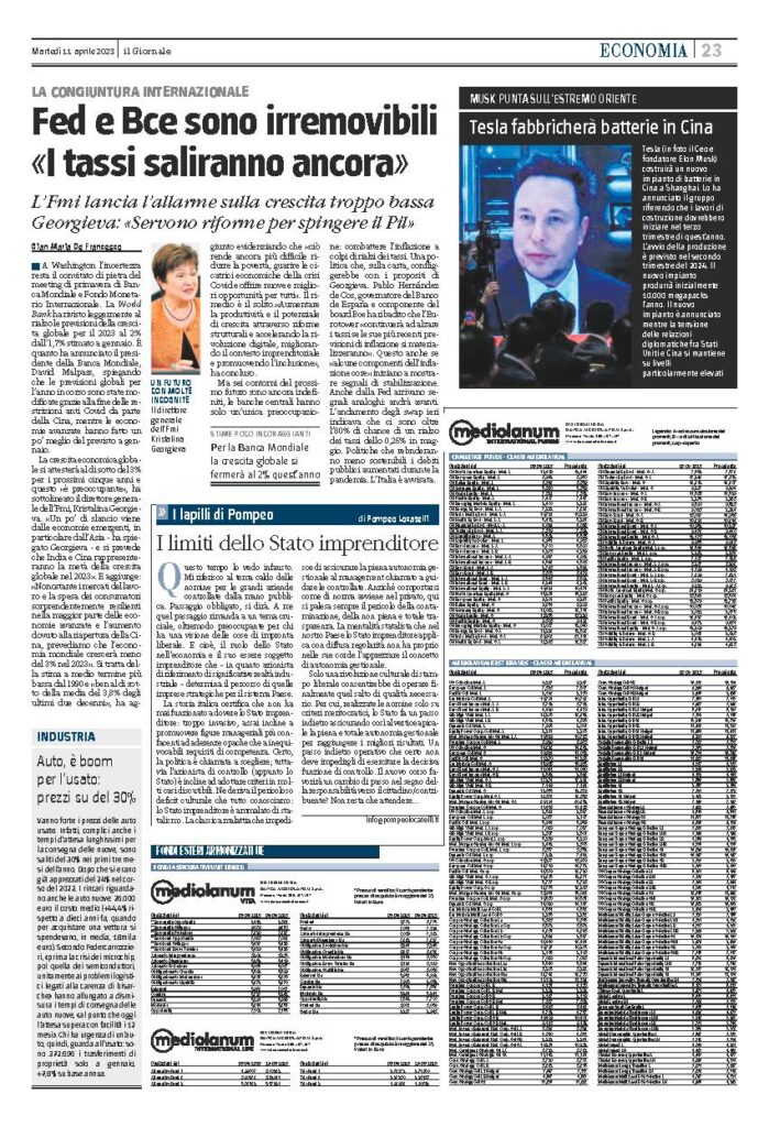 I limiti dello Stato imprenditore